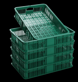 Fruit Basket — Premium