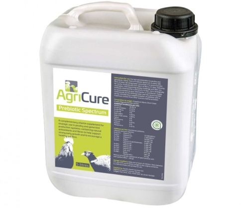 5 Ltr Jerry Can